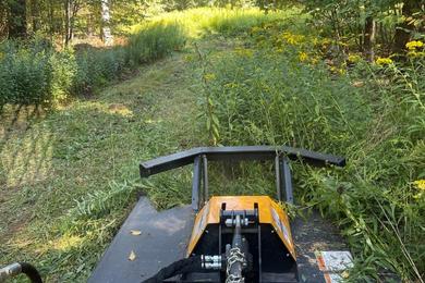 Land clearing company in CT (2)