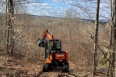 Land clearing company in CT (3)