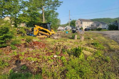 ct stumping services