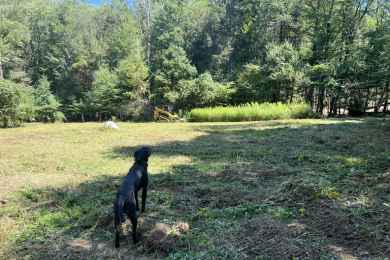 Untitled design (26)